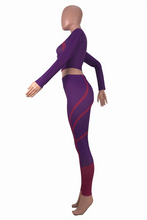 Load image into Gallery viewer, Purple Casual Solid Split Joint O Neck Long Sleeve Two Pieces