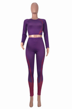 Load image into Gallery viewer, Purple Casual Solid Split Joint O Neck Long Sleeve Two Pieces
